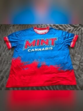 2XL Mint Mens Graphic Tee in Blue & Red